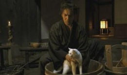 猫侍第一季在线观看,穿越时空的猫咪奇遇记