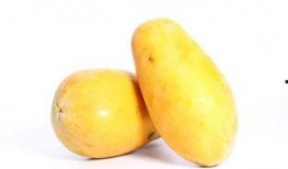 台湾网红吃瓜事件,揭秘网络舆论的风暴与真相