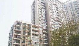 开源嘉苑爆料最新消息,揭秘项目进展与未来规划